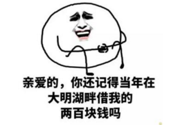 蚂蚁金服催收电话0769：揭秘金融科技催收背后的故事